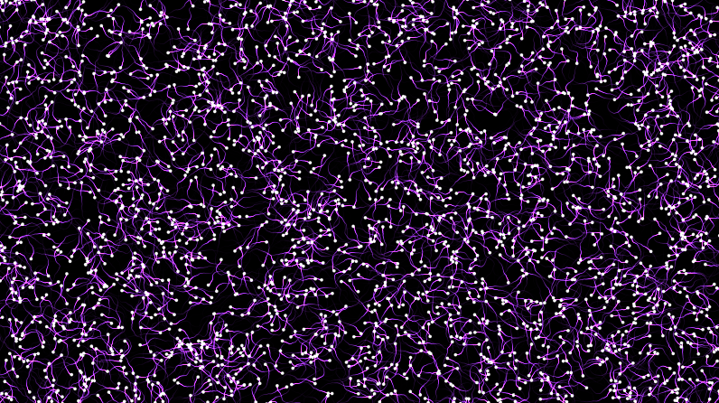 Bioluminescent Void